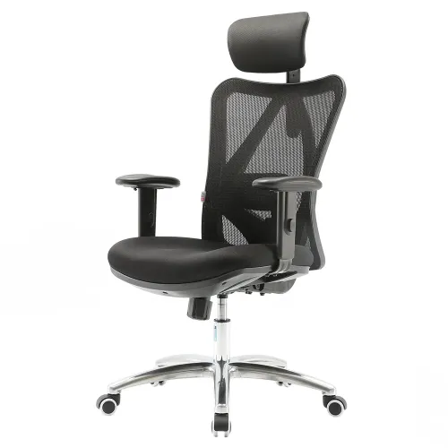 Кресло офисное компьютерное Sihoo M18-025, Black