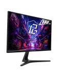 Монитор 24.5" ASRock PG25FFT, Black
