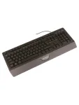 Клавиатура Defender Moldtaur GK-116, Black, USB